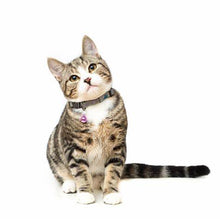Load image into Gallery viewer, Couple Gift Keychain Cute Cat Matching Gift for Girlfriend Boyfriend Cat Lover Best Friend Husband Wife Him Her Fiancée Couple Stuff for Christmas Valentine's Day Birthday New Year Eve Anniversary
